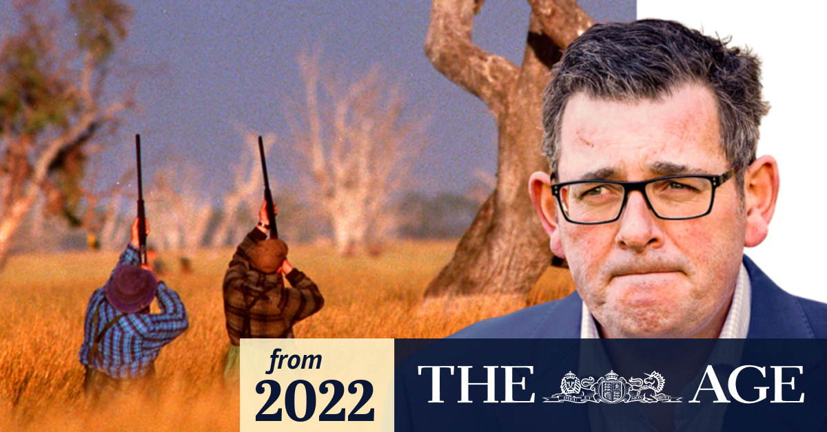 Duck hunting in Victoria Pressure mounts in Labor Party for ban on bird shooting